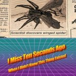 I miss ten seconds ago | image tagged in i miss ten seconds ago | made w/ Imgflip meme maker