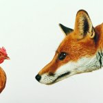 Fox and hen