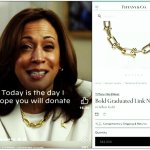 Kamala needs more money to spend at Tiffany