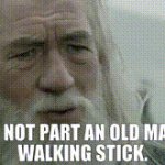 gandalf walking stick meme