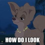 How Do I Look | HOW DO I LOOK | image tagged in lady and the tramp 2 angel | made w/ Imgflip meme maker