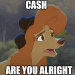 Cash Are You Alright | CASH; ARE YOU ALRIGHT | image tagged in dixie is like who are you | made w/ Imgflip meme maker