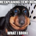 sorry low resolution... | ME EXPLAINING TO MY MOM; WHAT I BROKE | image tagged in he ate a bee,the_block | made w/ Imgflip meme maker