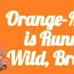 Hulk Hogan Orange Mania Running Wild