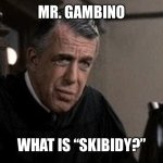 My cousin vinny judge | MR. GAMBINO; WHAT IS “SKIBIDY?” | image tagged in my cousin vinny judge | made w/ Imgflip meme maker