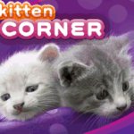 Discovery Kids Kitten Corner