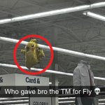 Who gave bro the tm for fly meme