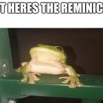 Frog reminicer