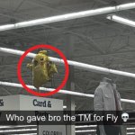 Who gave bro the tm for fly | image tagged in who gave bro the tm for fly | made w/ Imgflip meme maker