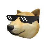 Doge head with glasses