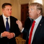 Musk Trump
