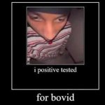 i positive tested for bovid