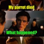 Pet Parrot | My parrot died; What happened? It never said “I’m hungry” | image tagged in memes,inception | made w/ Imgflip meme maker