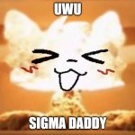 Boykisser nuke | UWU; SIGMA DADDY | image tagged in boykisser nuke | made w/ Imgflip meme maker