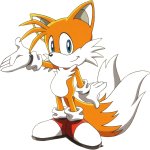 Miles Tails Prower (Sonic X anime)