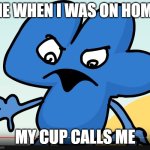 YOU DID BFB WHILE I WAS GONE?!?!?! | ME WHEN I WAS ON HOME; MY CUP CALLS ME | image tagged in you did bfb while i was gone | made w/ Imgflip meme maker