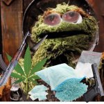 Be Smart Don’t Start | Oscar opens up a new drug gun and smoke shop | image tagged in oscar the grouch,drugs are bad,drug dealer,sesame street,guns,weed | made w/ Imgflip meme maker