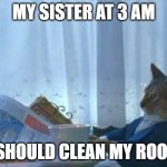 It's freaking annoying | MY SISTER AT 3 AM; "I SHOULD CLEAN MY ROOM" | image tagged in memes,i should buy a boat cat | made w/ Imgflip meme maker