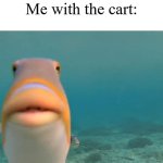 "Don't worry, mom. I'll keep watch." *stays there menacingly* | My mom: Stay and keep watch for our shopping cart. I need to go get something real quick. Me with the cart: | image tagged in staring fish,memes,funny,shopping | made w/ Imgflip meme maker