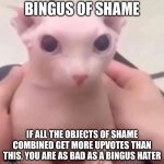 Bingus of shame