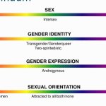 lgbtq spectrum