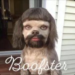 Peter Dinklage looking dog