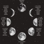 Moon Phases