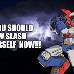 You should  V slash yourself now meme