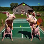 two pigs playing pickleball