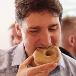 justin trudeau donut