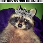 I am a princess | When someone asks me who do you think I am | image tagged in princess raccoon | made w/ Imgflip meme maker