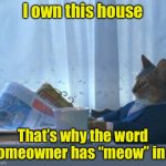 Cat homeowner | I own this house; That’s why the word homeowner has “meow” in it | image tagged in memes,i should buy a boat cat | made w/ Imgflip meme maker