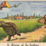hare and tortoise