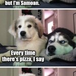 He's Samoan.  What's he gonna do?! | Yeah, I'm kinda heavy, but I'm Samoan. Every time there's pizza, I say; Gimme
Samoa! | image tagged in bad pun dogs,samoa,memes,pizza | made w/ Imgflip meme maker