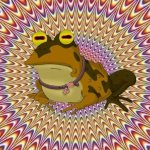 Hypno--toad