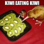 kiwi eats kiwi | KIWI EATING KIWI | image tagged in kiwi eats kiwi | made w/ Imgflip meme maker