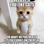 i dont have partner :( | image tagged in repost | made w/ Imgflip meme maker