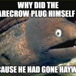 Bad Joke Eel | WHY DID THE SCARECROW PLUG HIMSELF IN? BECAUSE HE HAD GONE HAYWIRE | image tagged in memes,bad joke eel | made w/ Imgflip meme maker