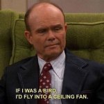 fly into fan