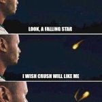 look a falling star meme | LOOK, A FALLING STAR; I WISH CRUSH WILL LIKE ME; LOL IMPOSSIBLE | image tagged in look a falling star meme | made w/ Imgflip meme maker