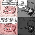 true | YES NOW HUSH! ARE YOU TRYING TO SLEEP? I HAVE SOMTHING YOU NEED TO GOOGLE | image tagged in trying to sleep,funny,memes,google,relatable,sleep | made w/ Imgflip meme maker