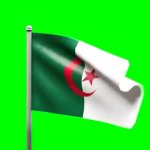 Algeria flag meme