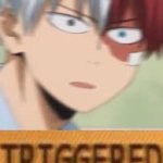 Todoroki Triggered