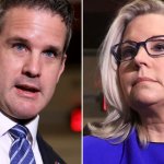 Cheney and Kinzinger meme