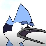 Mordecai dumb meme