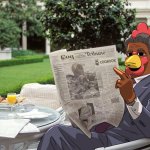 COQINU tribune