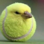 Ball