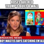 Breaking News | ROSES ARE RED
TRUMP'S BUILT A WALL; BOY WASTES DAYS CATCHING EM ALL | image tagged in breaking news | made w/ Imgflip meme maker