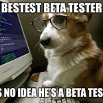 Bestest Beta Tester | BESTEST BETA TESTER; HAS NO IDEA HE’S A BETA TESTER | image tagged in corgi hacker,hacker,beta tester,it | made w/ Imgflip meme maker