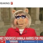 Liz Cheney endorses Hobama